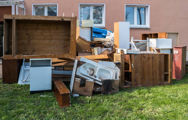 Best Yard Cleanup Services  in Argo, AL