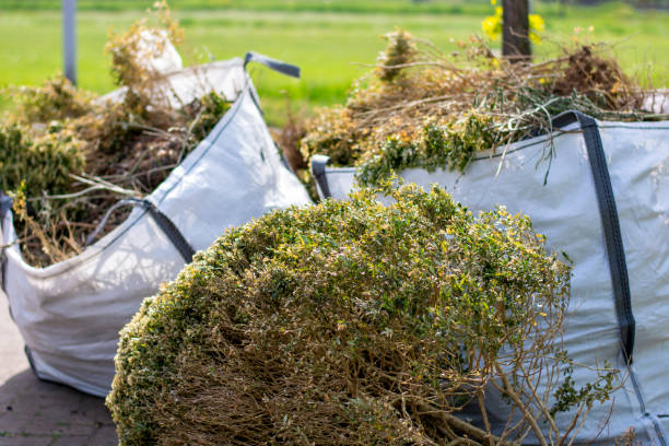 Debris Removal in Argo, AL