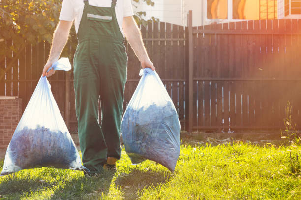 Best Household Junk Removal  in Argo, AL