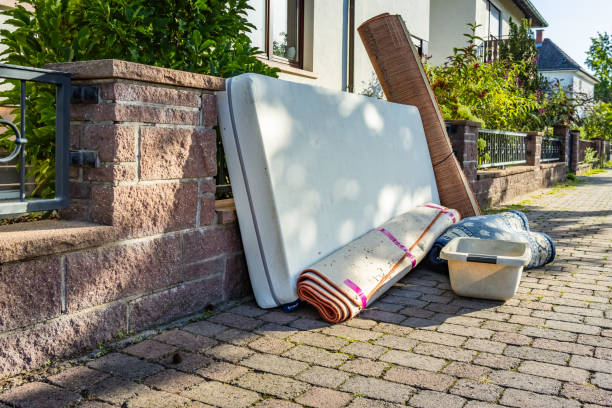 Best Basement Cleanout Services  in Argo, AL